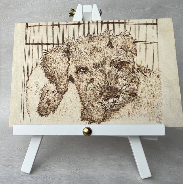 Pet portrait using pyrography