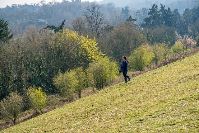 Surrey Hills