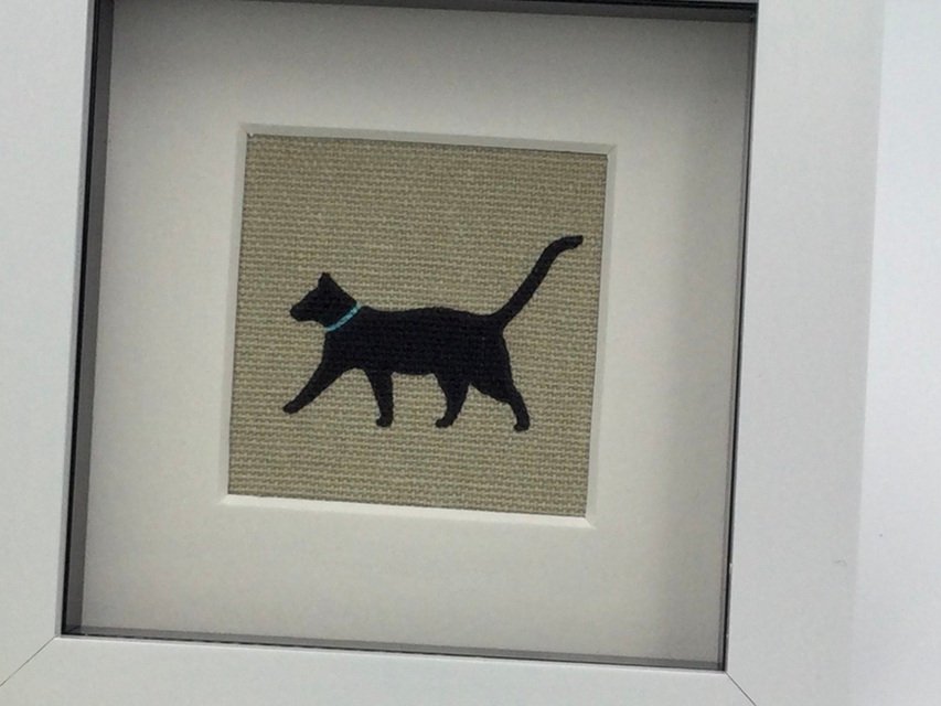 Cat-1