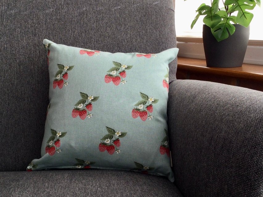 cushion-1