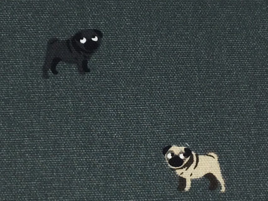 d556891b3a2e7d233665e00f9bcda697-1