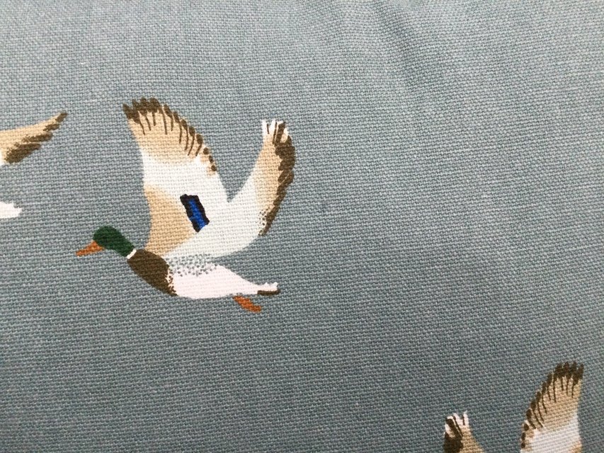 ef2a6ed5d3b81b19fa716f70fb282a85