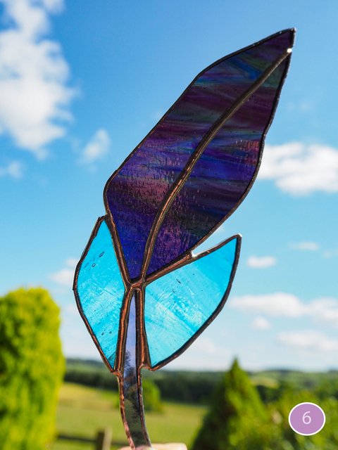 feather3