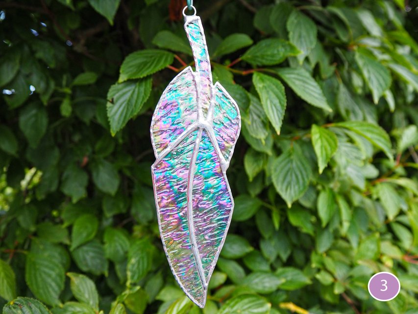 feather4