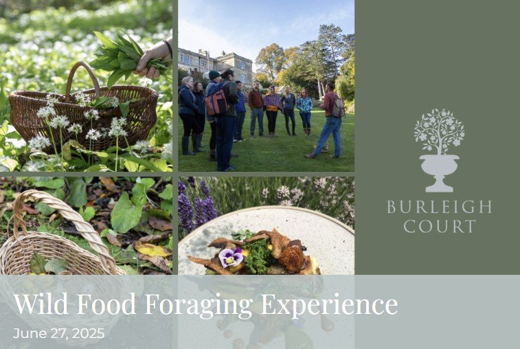 Wild-Food
