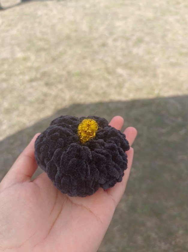 Pumpkin-3