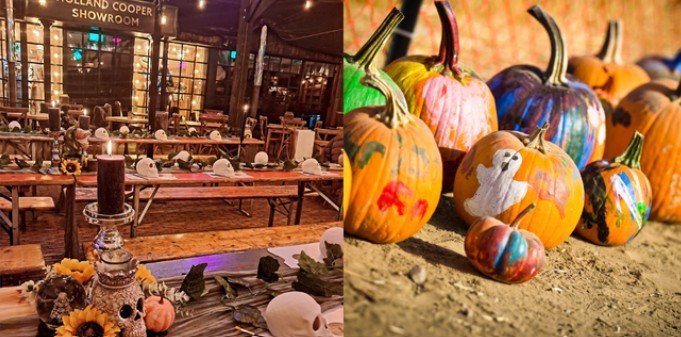 Image of painted pumpkins.