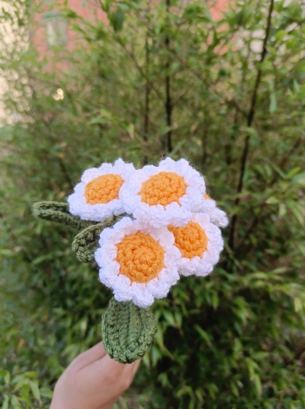 daisy-1