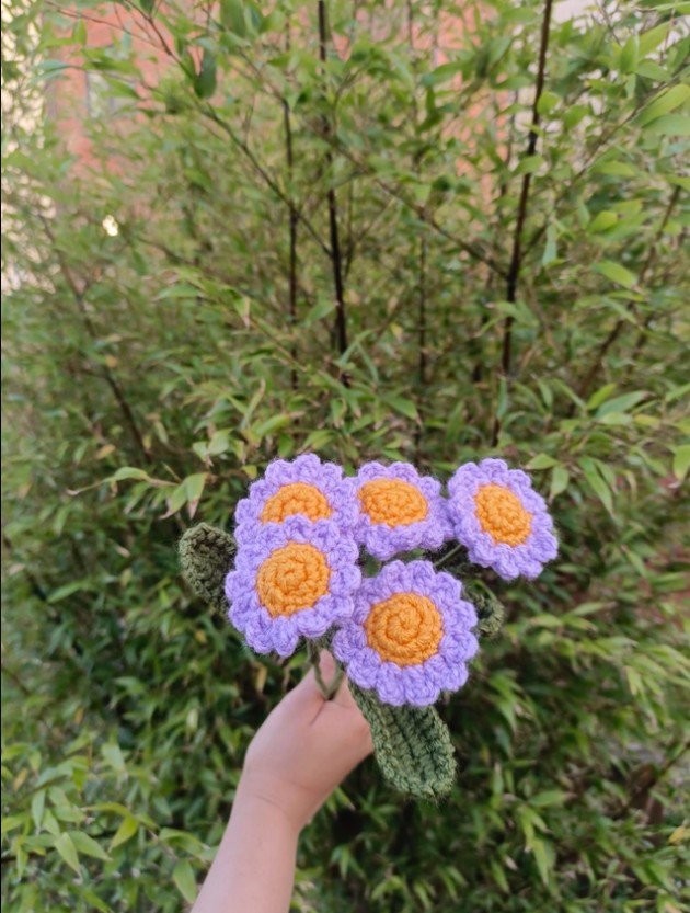 daisy-3