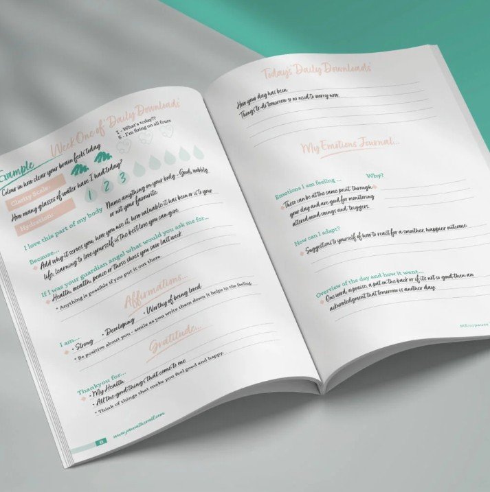 Image of menopause journal